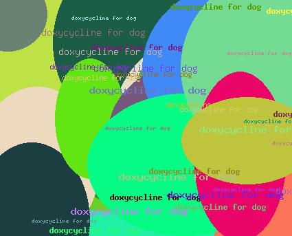 DOXYCYCLINE FOR DOG